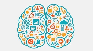 neuromarketing en tu tienda online-xenonfactory-min