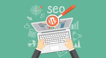 optimización seo de codigo en wordpress - xenonfactory