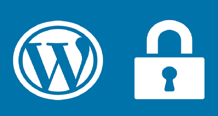 seguridad en wordpress 2 - xenonfactory