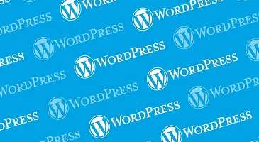 páginas web en wordpress en el mundo 1- xenonfactory-compressed