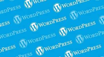 páginas web en wordpress en el mundo 1- xenonfactory-compressed