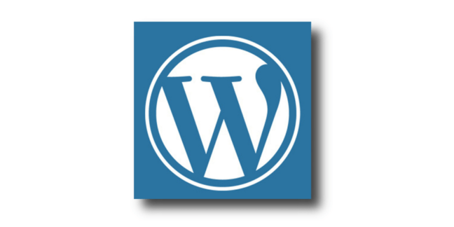 logo-optimizacion-pagina-wordpress-xenonfactory.es