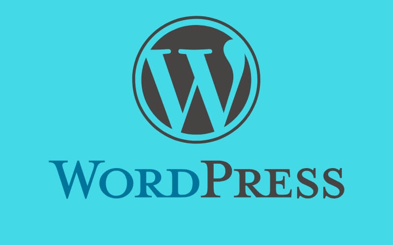 WordPress-Temas-xenonfactory.es